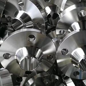 SS Forged Flange SS Forged Flange