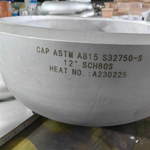 Duplex/Super Duplex Pipe Fittings