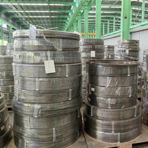 SS Coiled Tubing